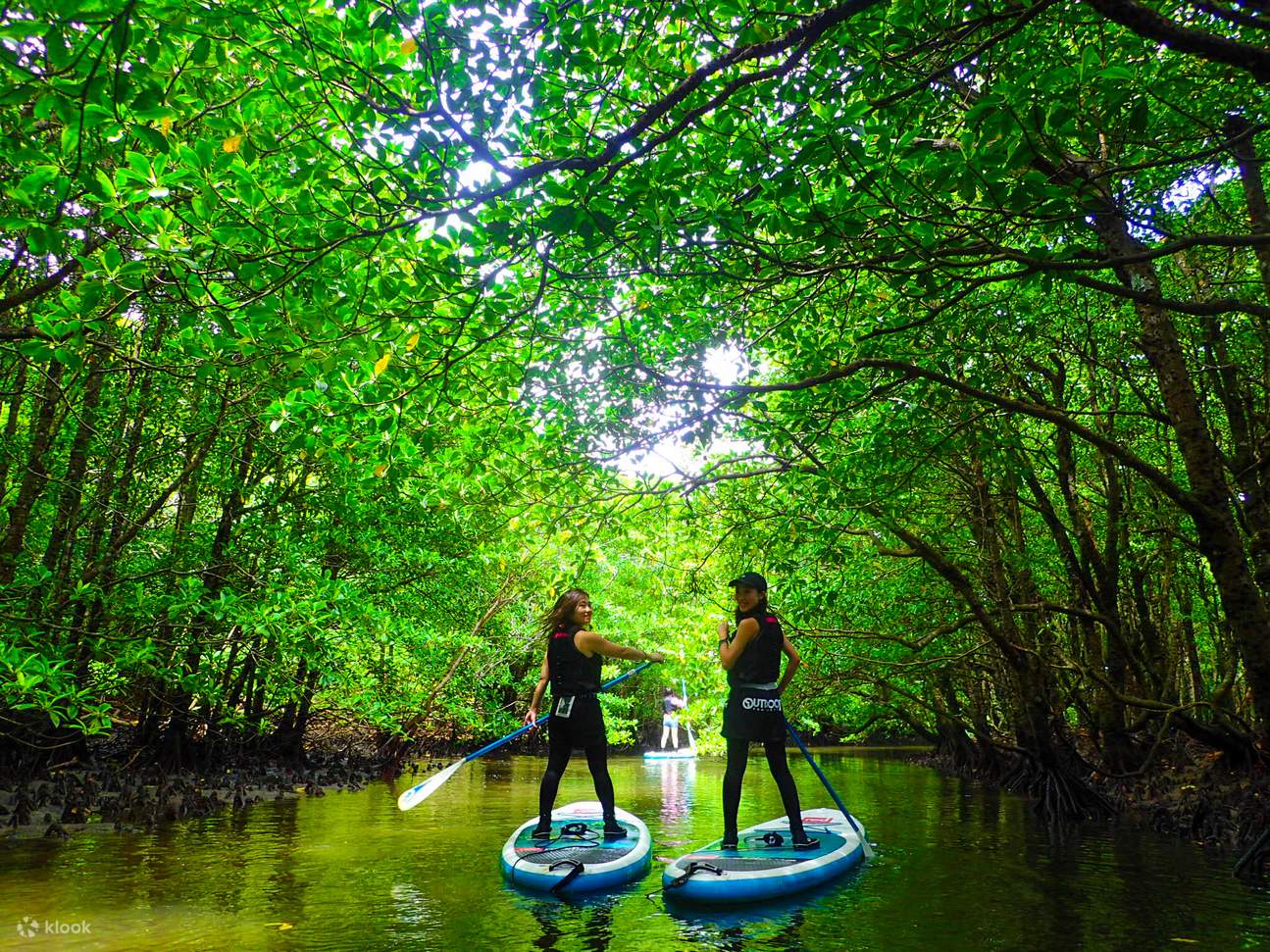 Paddle Boarding