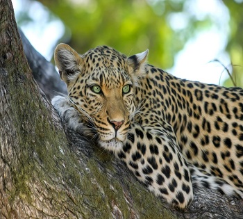 Serengeti National Park